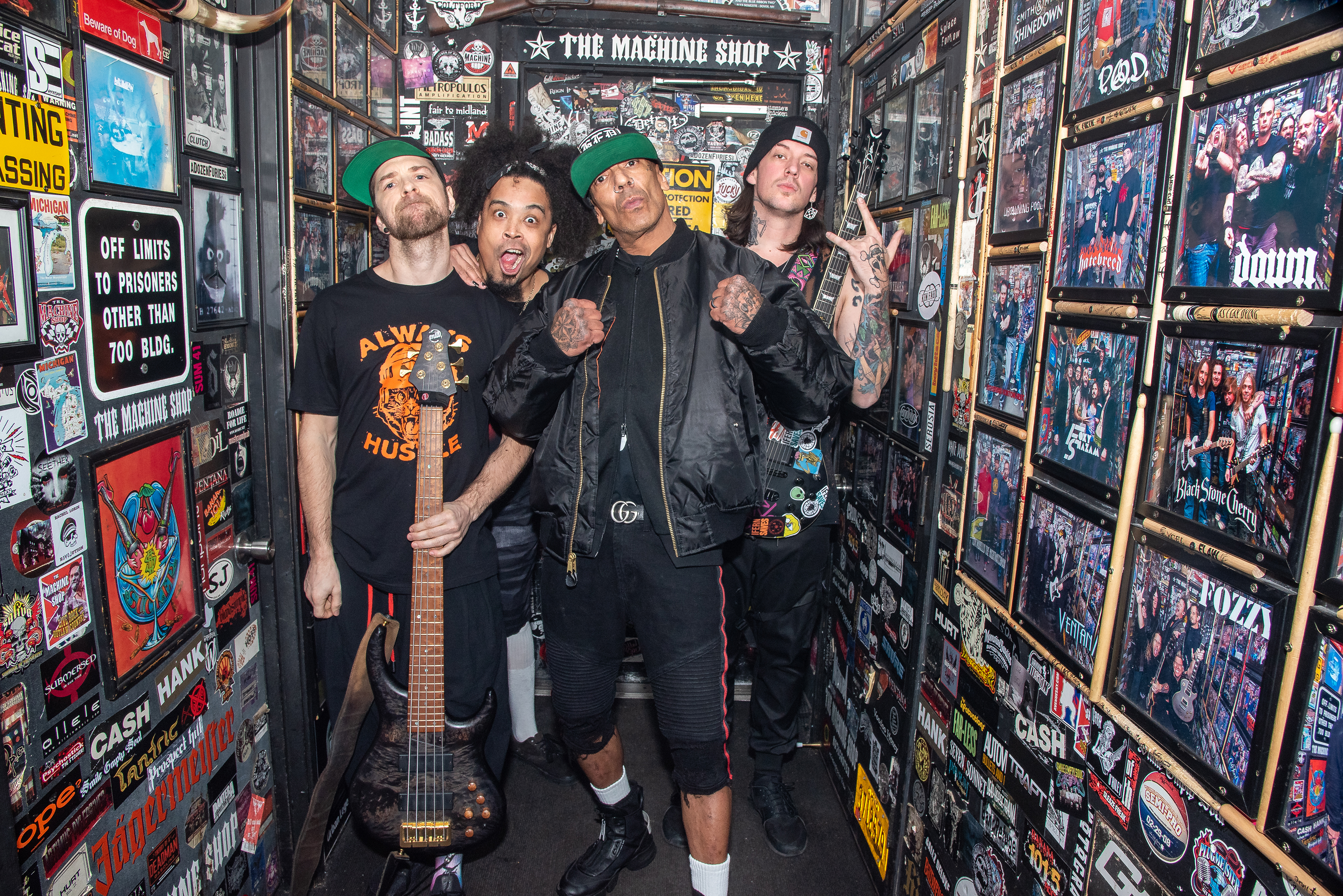 Hed PE