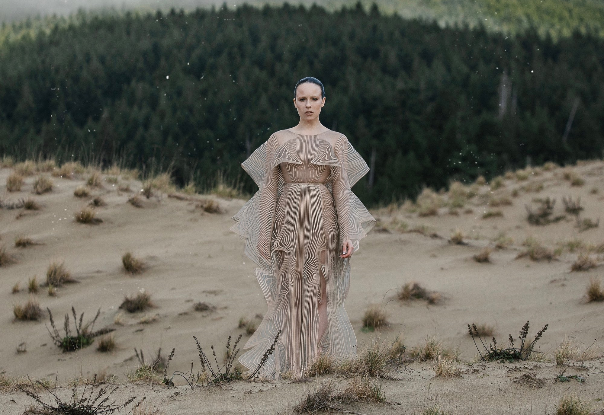Allie X
