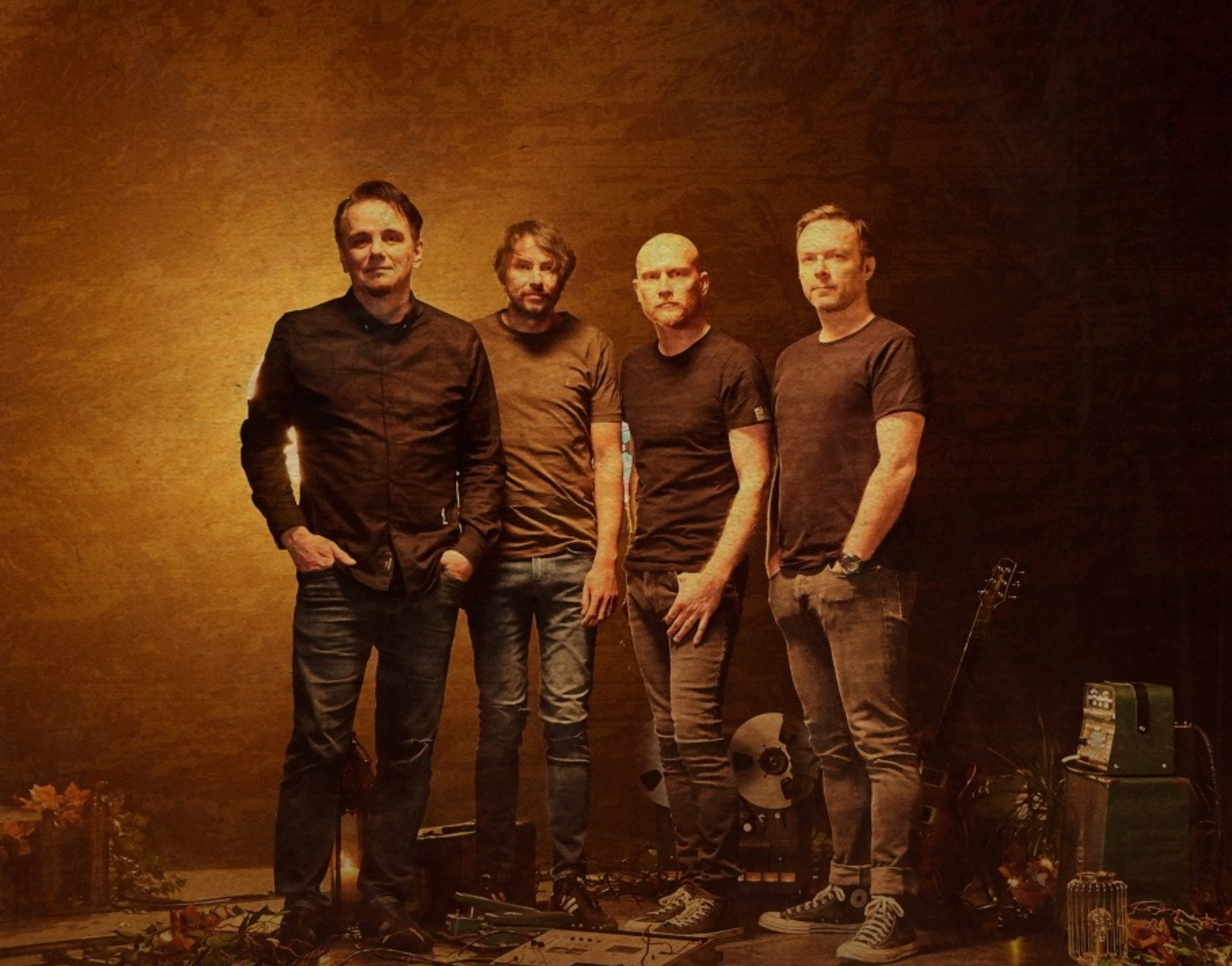 The Pineapple Thief