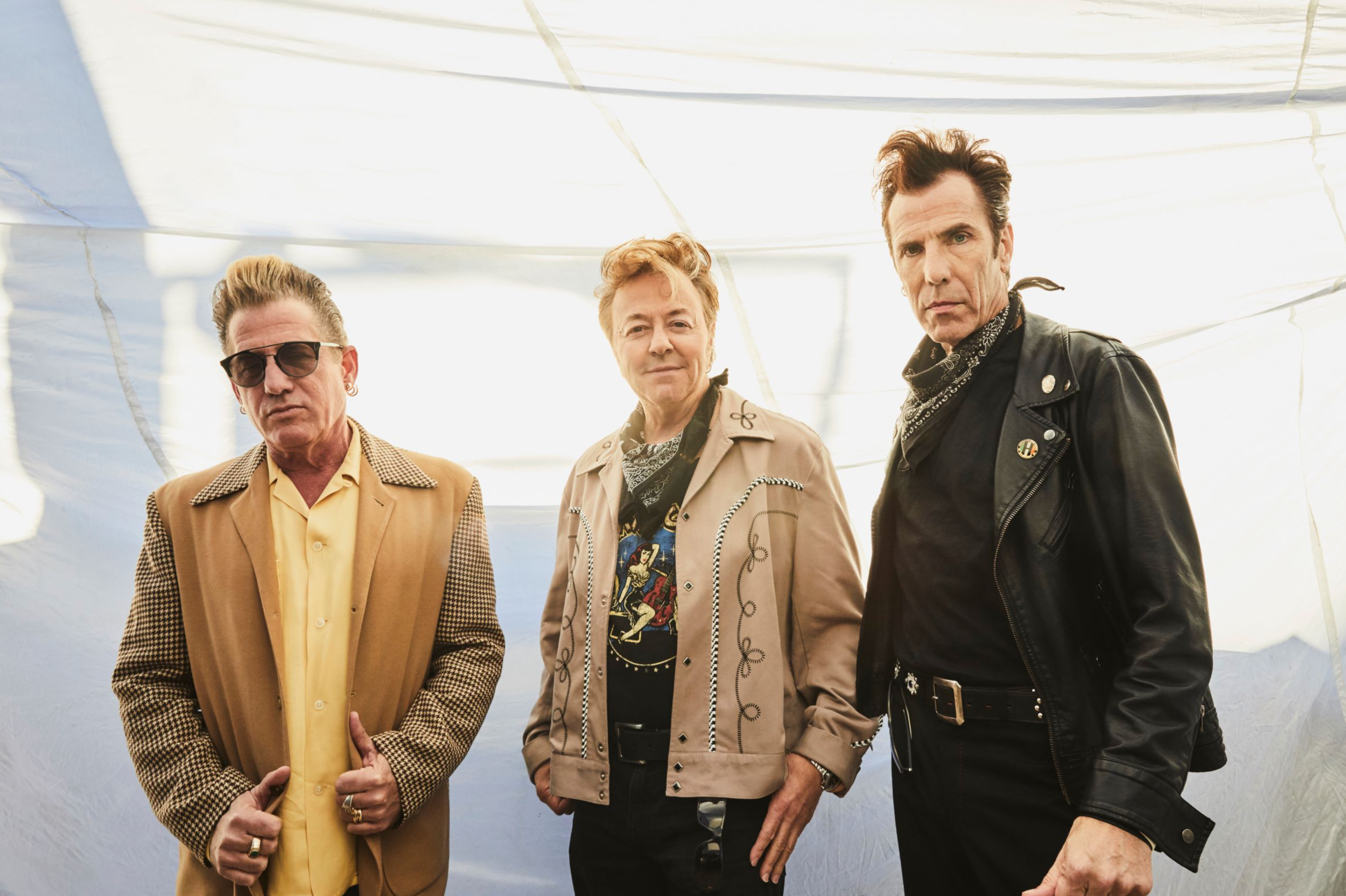 Stray Cats
