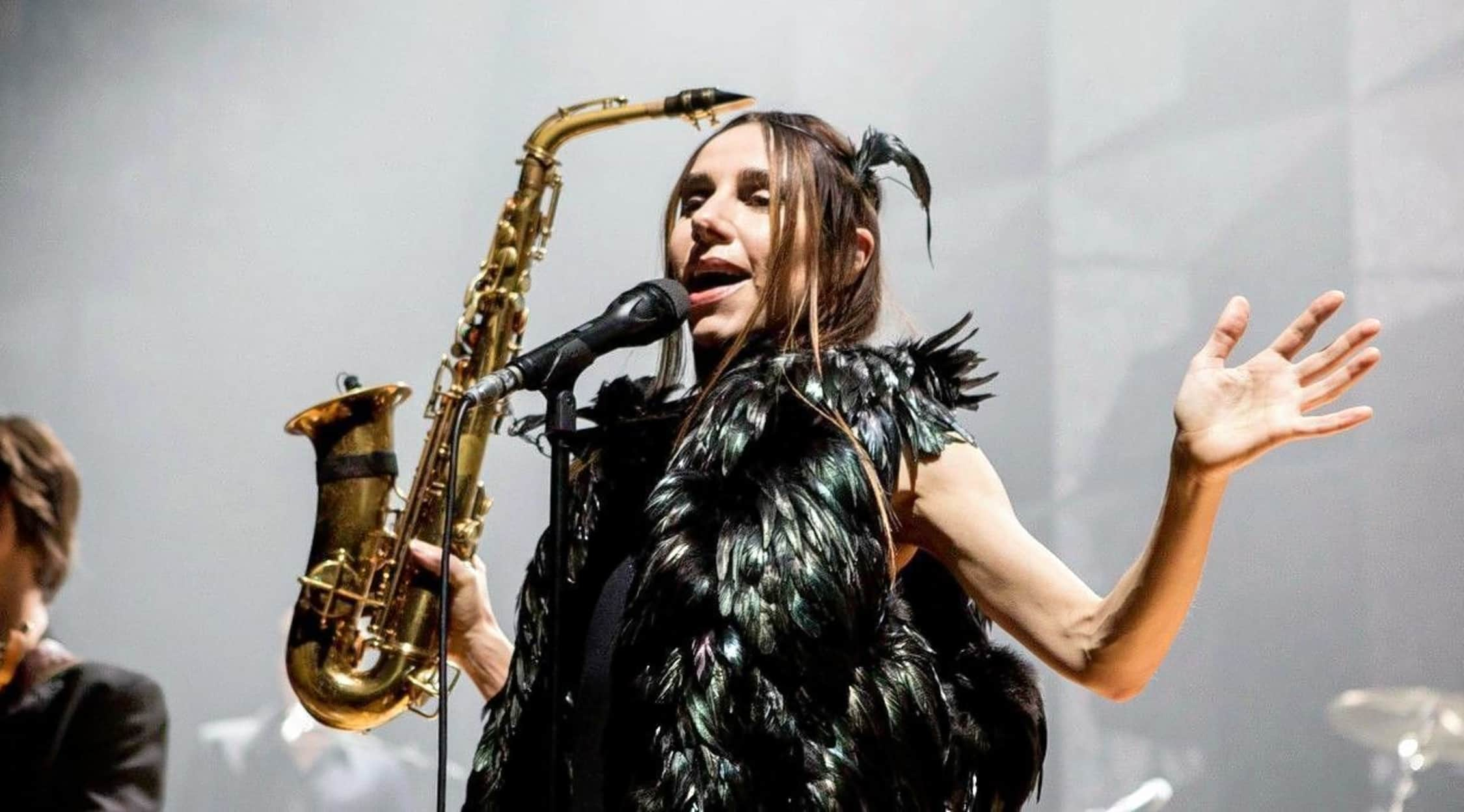 PJ Harvey Tickets & Tour Dates StubHub UK!