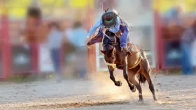 PBR - Professional Bull Riders