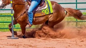 National Finals Rodeo