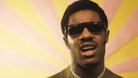 Stevie Wonder