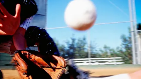 Entradas New Mexico Lobos Softball