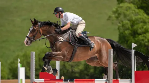 Reitsport Tickets