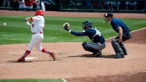 Toronto Blue Jays