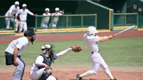 Liga Mexicana de Béisbol
