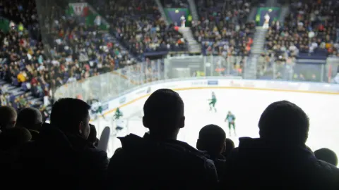 Sweden National Ice Hockey Team