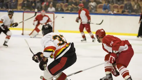 Deutsche Eishockey-Nationalmannschaft