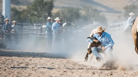 Bilhetes Rodeo