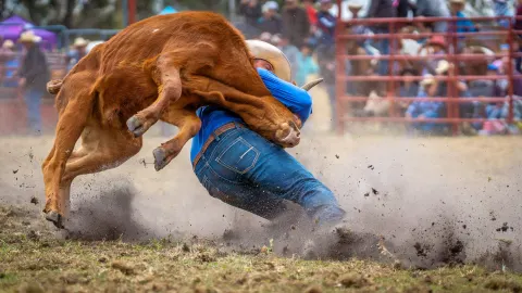 PBR - Professional Bull Riders - Friday