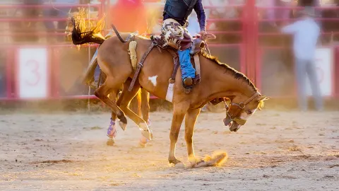 PBR - Professional Bull Riders - 3-Day Pass