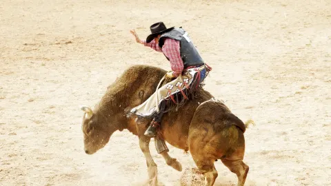 PBR - Professional Bull Riders - Friday