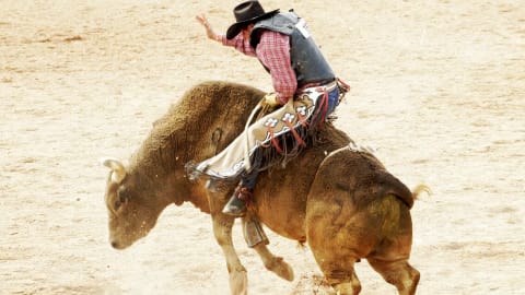 PRB - Unleash the Beast