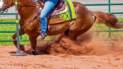 PBR - Camping World Teams Championship
