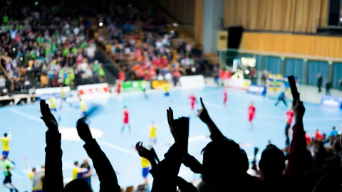 European Handball Championship - Day ticket - Friday