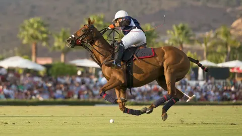 Polo Tickets