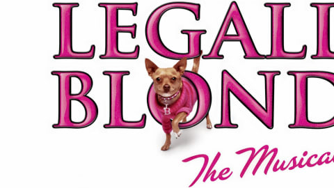 Legally Blonde
