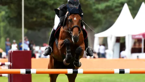 2020 Games in Tokyo: Equestrian liput