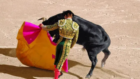 Bullfighting Madrid 2024