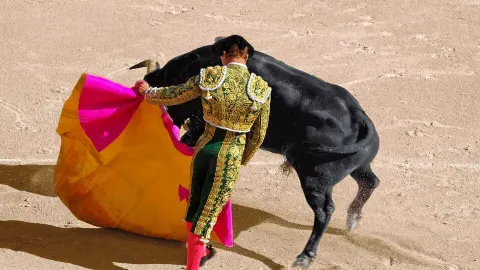 Bullfights San Fermin Pamplona 2023 - Pablo Hermoso de Mendoza, Morante de la Puebla, El Juli & Andrés Roca Rey