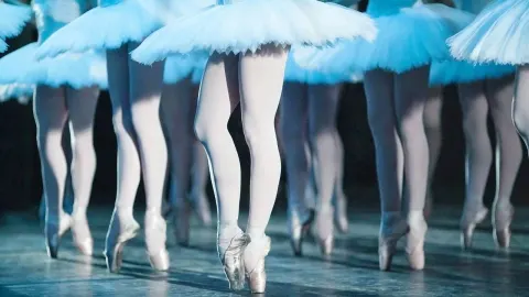Russian State Ballet Moscow - Swan Lake
