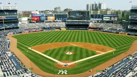 New York Yankees Spring Training