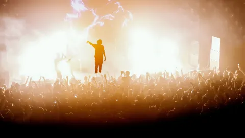 Electric Zoo