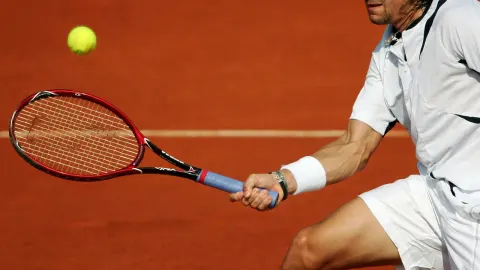 Internationaux de France de tennis