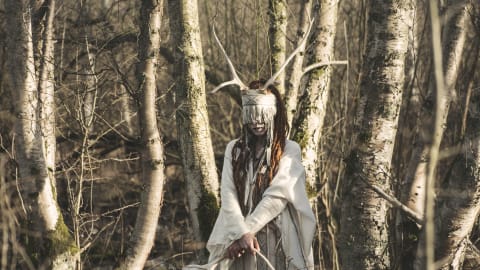 Heilung