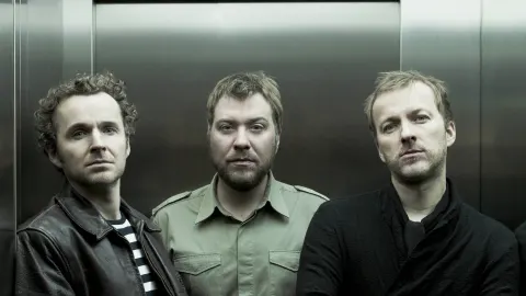 Doves