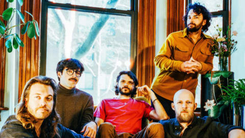 Goose (USA)
