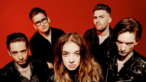 Marmozets
