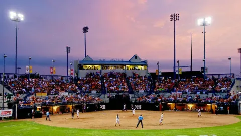 Texas Longhorns Softball