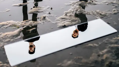 All Tvvins