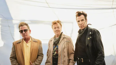 Stray Cats