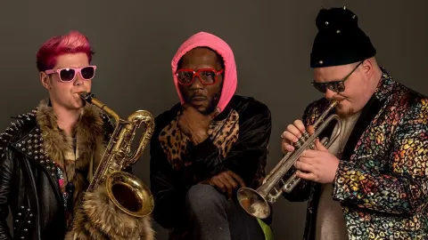 Too Many Zooz