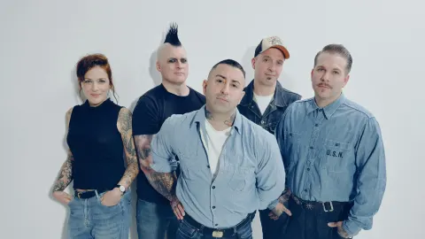Broilers