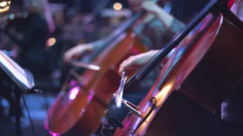 Houston Symphony