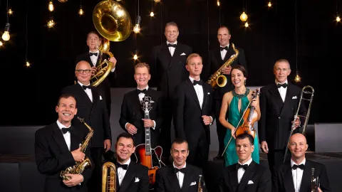 Max Raabe & Palast Orchester