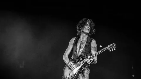 Joe Perry