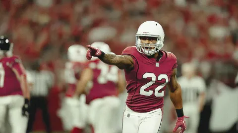 Arizona Cardinals