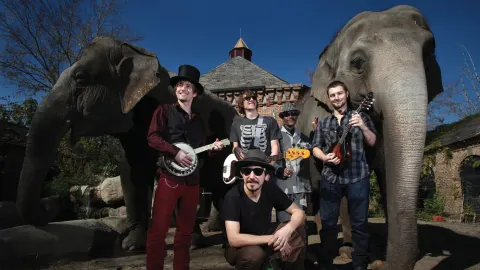 100 Monkeys