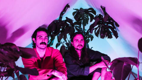Anarbor