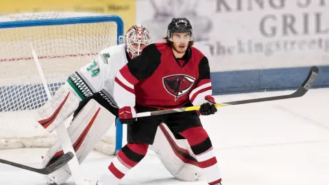 Arizona Coyotes
