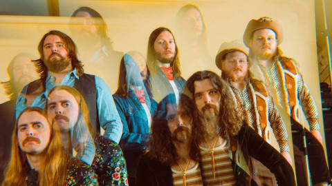 The Sheepdogs