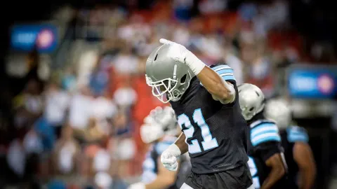 Carolina Panthers