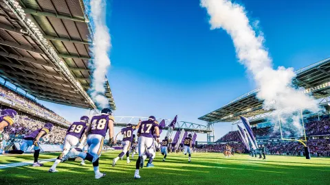 Minnesota Vikings