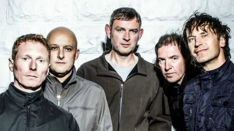 Inspiral Carpets